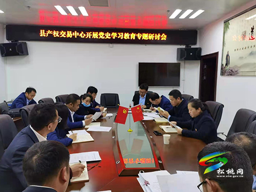 【奮斗百年路　啟航新征程】​縣產(chǎn)權(quán)交易中心開展黨史學(xué)習(xí)教育“學(xué)深悟透”專題研討會