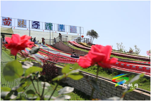 五一旅游新體驗(yàn)，讓我們一起滑草吧