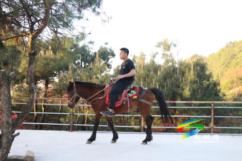 松桃飛靈山：萬畝杜鵑花開正艷