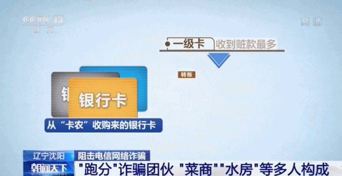 “跑分”“菜商”“水房” 電信詐騙黑話大揭秘！