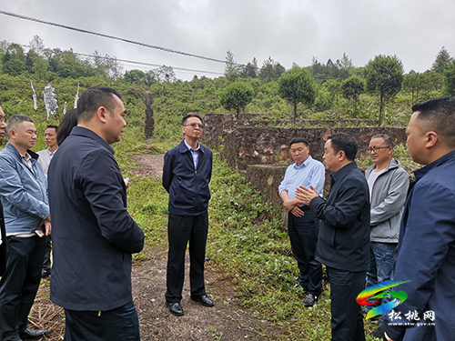 省民政廳副廳長王斌一行來松調(diào)研殯葬改革工作