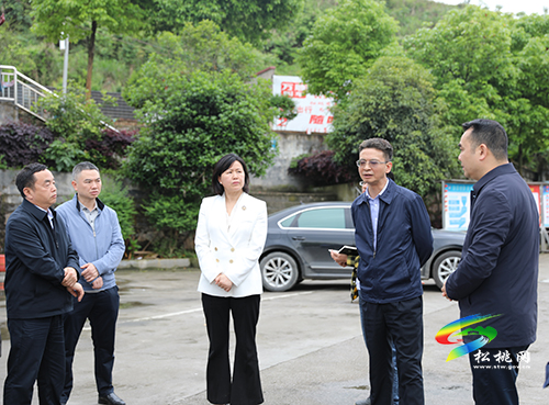 省民政廳副廳長王斌一行來松調(diào)研殯葬改革工作