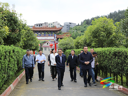 省民政廳副廳長王斌一行來松調(diào)研殯葬改革工作