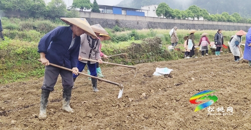 普覺鎮(zhèn)干背河村:村民既學(xué)技能又創(chuàng)收