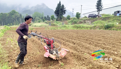 普覺鎮(zhèn)干背河村:村民既學(xué)技能又創(chuàng)收
