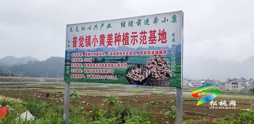 普覺鎮(zhèn)干背河村:村民既學(xué)技能又創(chuàng)收