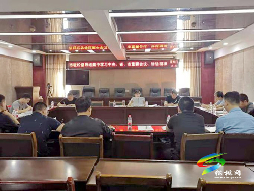 【奮斗百年路 啟航新征程】​市駐松督導組召開黨史學習教育第一次專題學習研討會