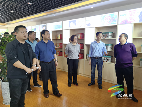 ​唐永明率隊(duì)到孟溪鎮(zhèn)調(diào)研農(nóng)業(yè)產(chǎn)業(yè)發(fā)展情況