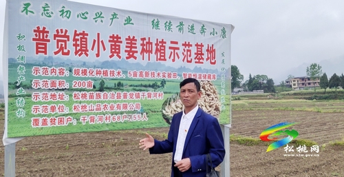 肖朝發(fā)：用10年心血，帶領(lǐng)群眾奔小康
