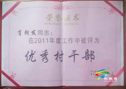 肖朝發(fā)：用10年心血，帶領(lǐng)群眾奔小康