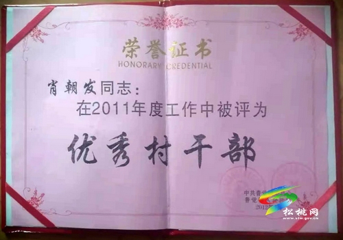 肖朝發(fā)：用10年心血，帶領(lǐng)群眾奔小康