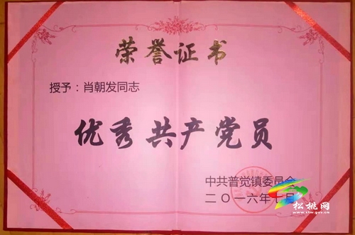 肖朝發(fā)：用10年心血，帶領(lǐng)群眾奔小康