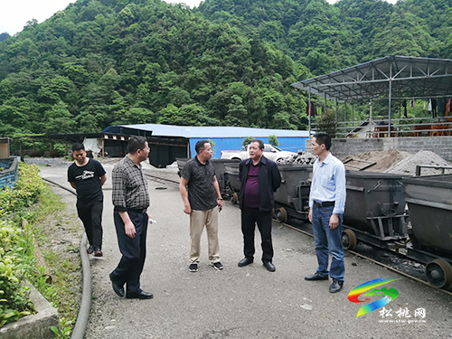 吳真發(fā)到孟溪鎮(zhèn)閩黃錳礦開展調(diào)研