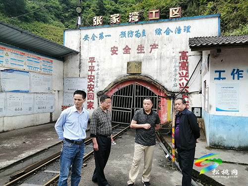 吳真發(fā)到孟溪鎮(zhèn)閩黃錳礦開展調(diào)研
