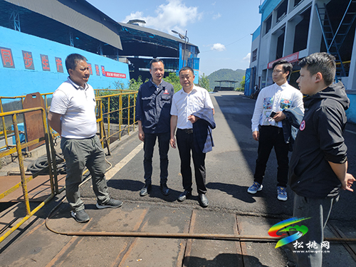 ​銅仁市生態(tài)環(huán)境局松桃分局開展大排查大整改大執(zhí)法工作