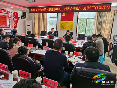 著力夯實基層基礎　全力推進鄉(xiāng)村振興