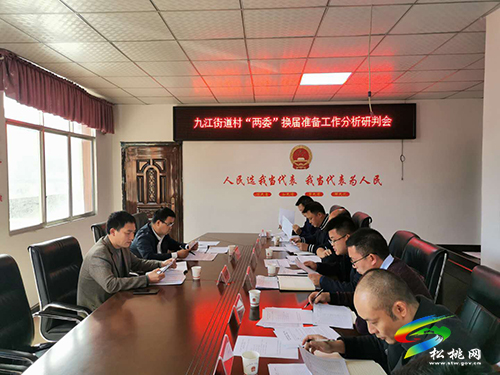 著力夯實基層基礎　全力推進鄉(xiāng)村振興