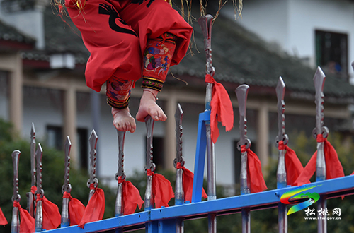 ​中國苗王城：數萬賓朋相聚，歡慶四月八