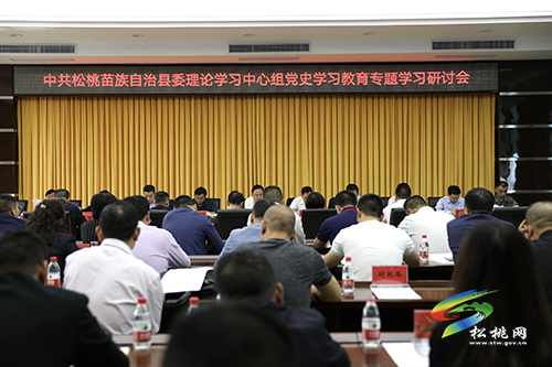 縣委理論學習中心組黨史學習教育專題學習研討會召開