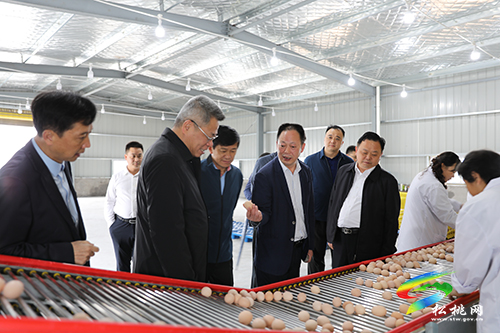 ​副省長王世杰來松調(diào)研鞏固拓展脫貧攻堅成果同鄉(xiāng)村振興有效銜接工作