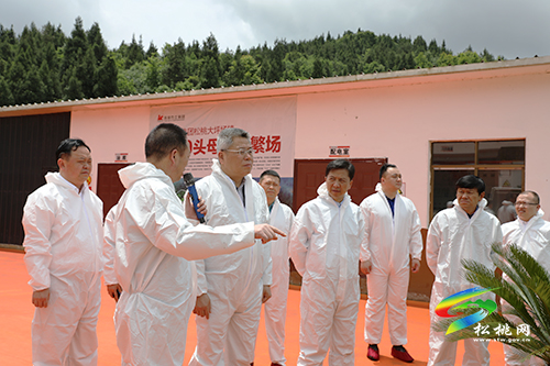 ​副省長王世杰來松調(diào)研鞏固拓展脫貧攻堅成果同鄉(xiāng)村振興有效銜接工作