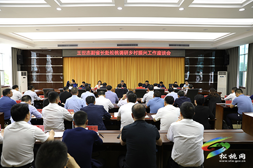 ​副省長王世杰來松調(diào)研鞏固拓展脫貧攻堅成果同鄉(xiāng)村振興有效銜接工作