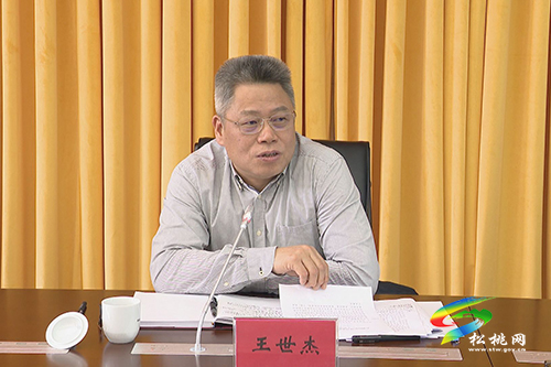 ​副省長王世杰來松調(diào)研鞏固拓展脫貧攻堅成果同鄉(xiāng)村振興有效銜接工作