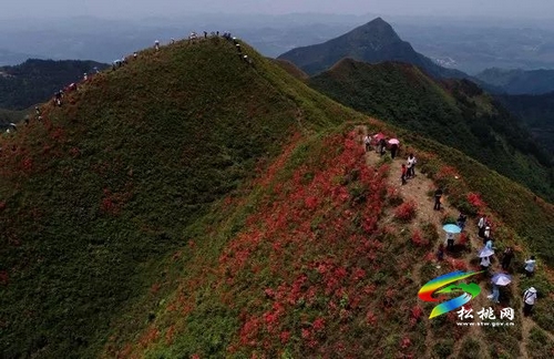 盤石鎮(zhèn)打造全域旅游示范鄉(xiāng)鎮(zhèn)未來可期