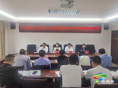 【奮斗百年路 啟航新征程】松桃召開市委黨史學(xué)習(xí)教育督導(dǎo)反饋問題整改部署會(huì)
