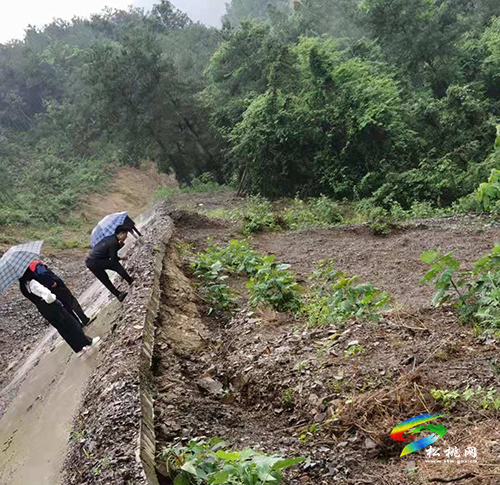 ​世昌街道開展汛期安全生產(chǎn)隱患排查行動(dòng)