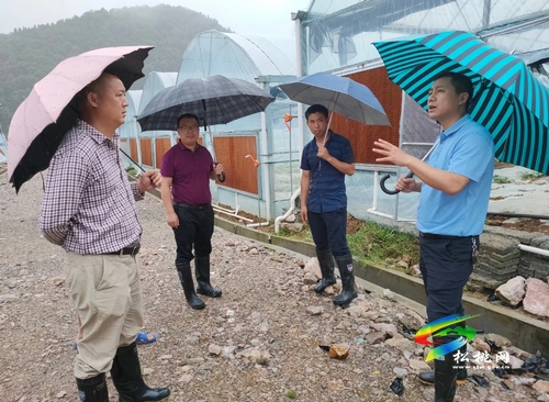 普覺(jué)鎮(zhèn)真旗屯社區(qū)：黨旗飄揚(yáng)在受災(zāi)現(xiàn)場(chǎng)