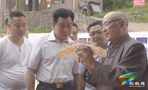 陳代文一行來松桃調(diào)研少數(shù)民族特色村寨保護(hù)與發(fā)展情況