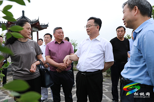 省人大農(nóng)委主任委員楊云一行來松桃調(diào)研油茶產(chǎn)業(yè)工作