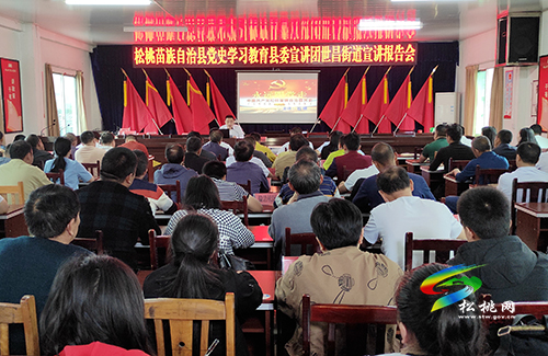 【奮斗百年路 啟航新征程】松桃黨史學(xué)習(xí)教育縣委宣講團(tuán)走進(jìn)衛(wèi)健系統(tǒng)世昌盤石開展黨課宣講活動