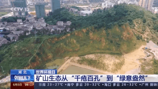 人與自然如何和諧共生？一文帶你了解！