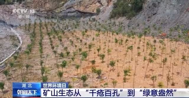 人與自然如何和諧共生？一文帶你了解！