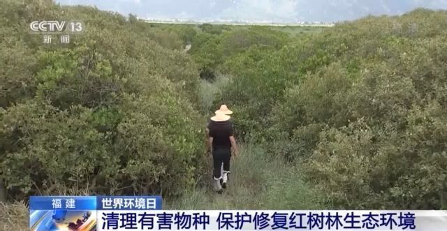 人與自然如何和諧共生？一文帶你了解！
