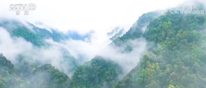 綠色答卷 | 修復(fù)生態(tài)環(huán)境 促山水林田湖草沙一體化保護(hù)