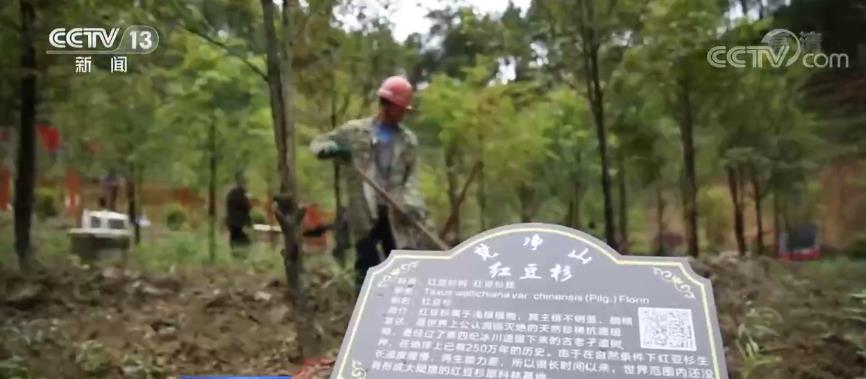 綠色答卷 | 修復(fù)生態(tài)環(huán)境 促山水林田湖草沙一體化保護(hù)