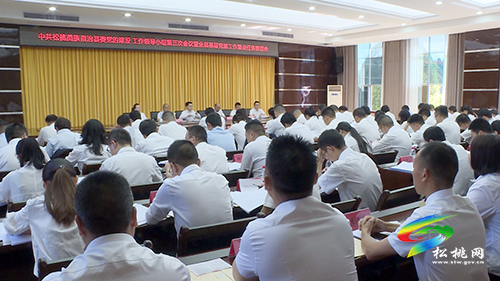 松桃縣委黨的建設工作領導小組2021年度第三次會議暨全縣基層黨建工作重點任務推進會召開