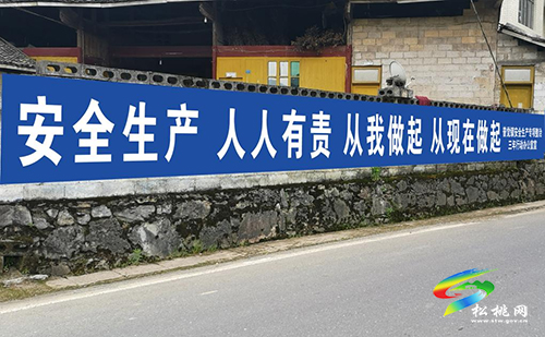 普覺鎮(zhèn)組織多部門聯(lián)合開展2021年“安全生產(chǎn)月”暨“安全生產(chǎn)普覺行”安全知識宣傳活動
