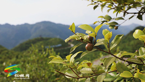 夏紅民到松桃調(diào)研時強調(diào)