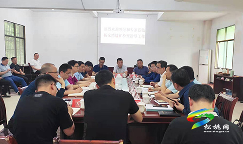 省應(yīng)急管理廳周樂職一行到松調(diào)研非煤礦山安全生產(chǎn)整改情況