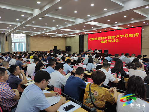 ​【奮斗百年路　啟航新征程】​松桃舉行黨史學習教育業(yè)務培訓會暨工作安排部署會