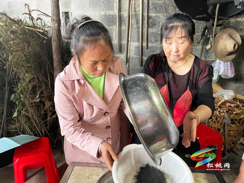 【網(wǎng)絡(luò)中國(guó)節(jié)·端午】端午佳節(jié)灰粽飄香