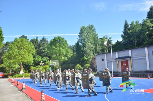 松桃人武部：集中應急訓練 展示民兵風采