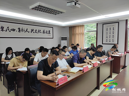 【奮斗百年路　啟航新征程】松桃召開黨史學(xué)習(xí)教育工作推進(jìn)會(huì)暨巡回指導(dǎo)工作調(diào)度會(huì)