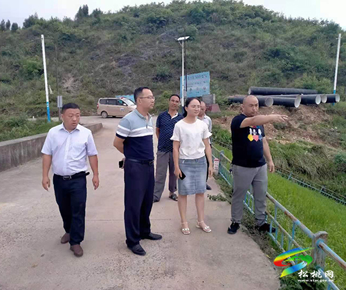 張軍到盤石鎮(zhèn)、長(zhǎng)坪鄉(xiāng)調(diào)研指導(dǎo)水庫(kù)安全防汛工作