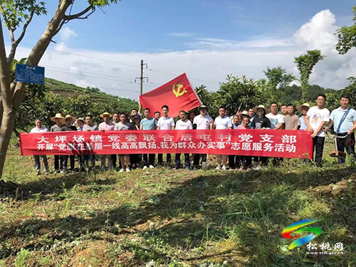 【奮斗百年路　啟航新征程】大坪場鎮(zhèn)：深入開展“我為群眾辦實事”志愿服務活動