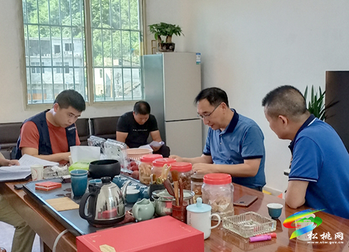 丁和平率工作專班到群興錳業(yè)督導錳渣庫治理工作